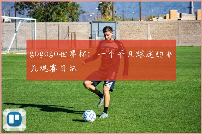 gogogo世界杯:一个平凡球迷的非凡观赛日记