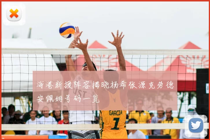 海港新援阵容揭晓杨希张源克劳德安佩姆号码一览