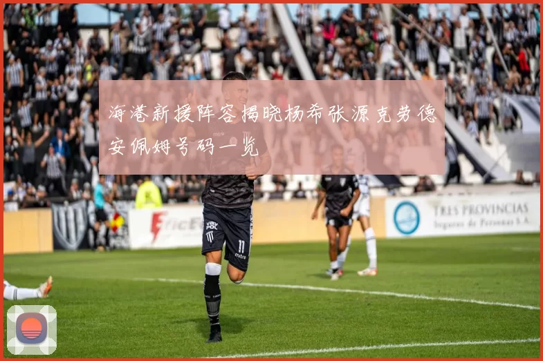 海港新援阵容揭晓杨希张源克劳德安佩姆号码一览