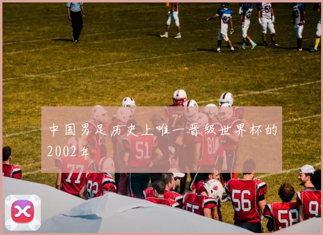 中国男足历史上唯一晋级世界杯的2002年