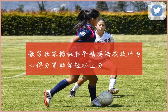 张芳独家揭秘和平精英游戏技巧与心得分享助你轻松上分