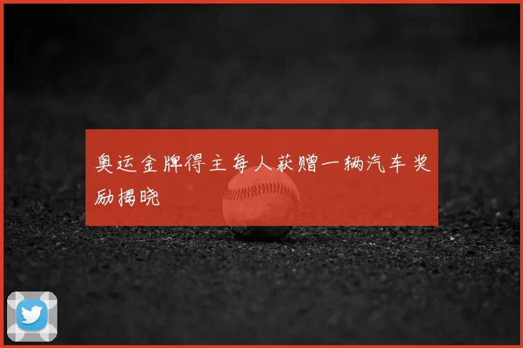 奥运金牌得主每人获赠一辆汽车奖励揭晓