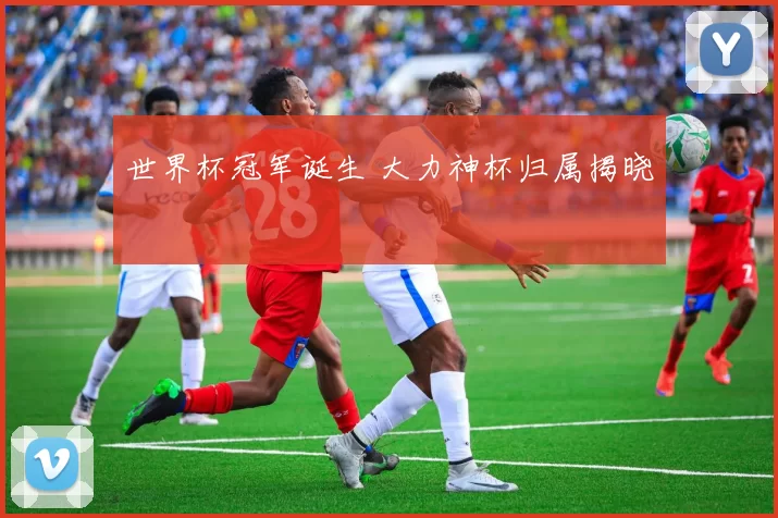 世界杯冠军诞生 大力神杯归属揭晓