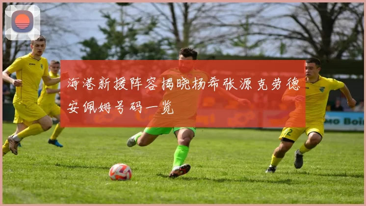 海港新援阵容揭晓杨希张源克劳德安佩姆号码一览