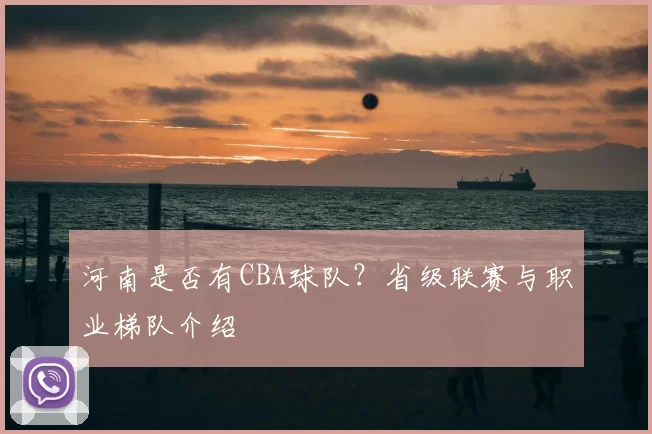 河南是否有CBA球队?省级联赛与职业梯队介绍