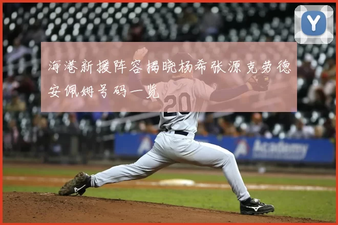 海港新援阵容揭晓杨希张源克劳德安佩姆号码一览