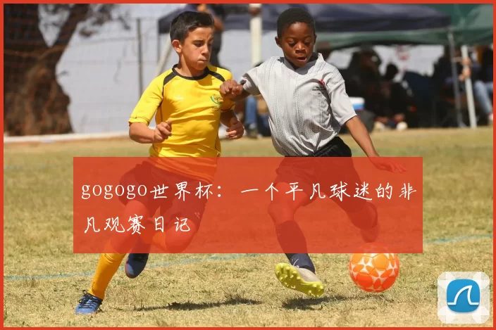 gogogo世界杯:一个平凡球迷的非凡观赛日记