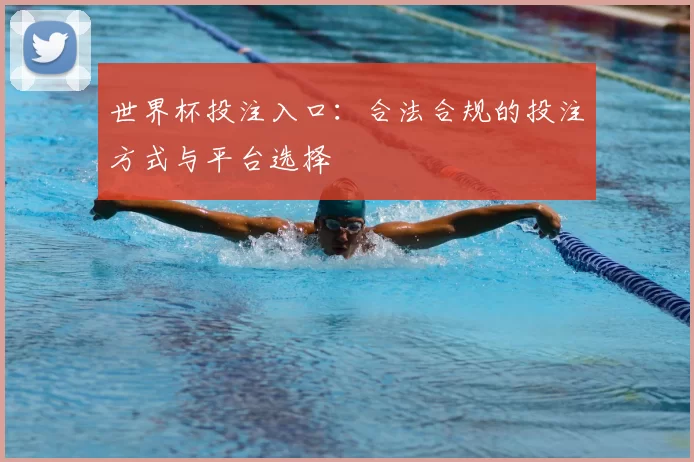 世界杯投注入口:合法合规的投注方式与平台选择