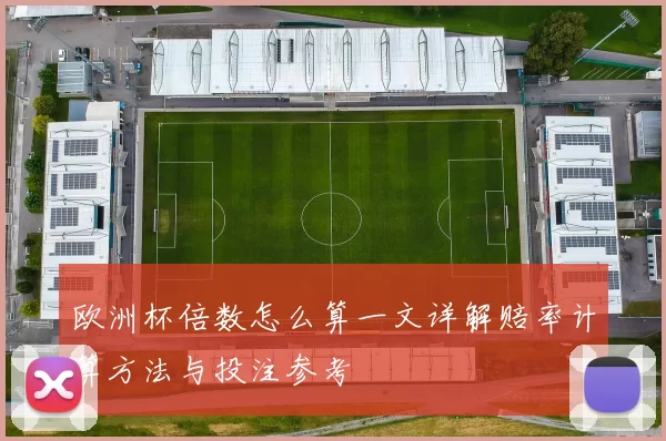 欧洲杯倍数怎么算一文详解赔率计算方法与投注参考