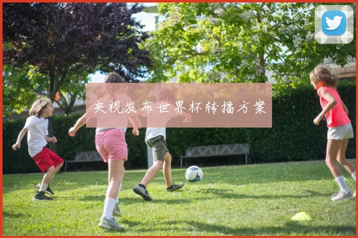 央视发布世界杯转播方案