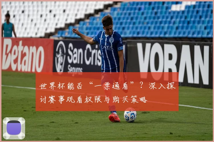 世界杯能否“一票通看”?深入探讨赛事观看权限与购买策略