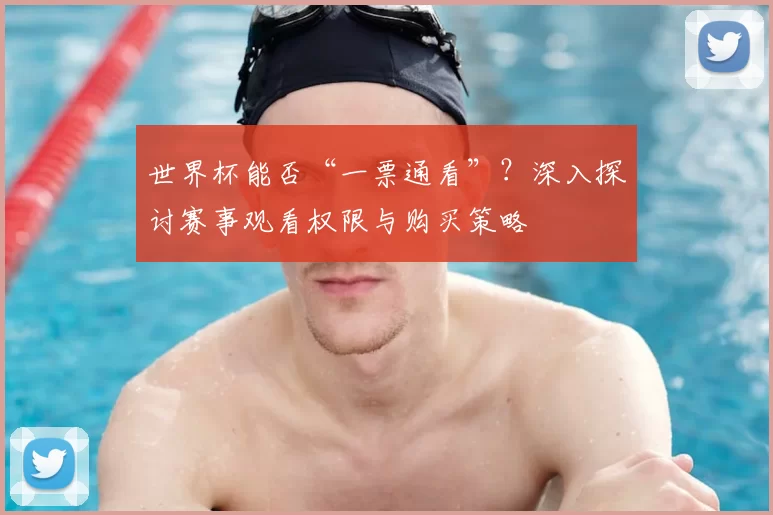 世界杯能否“一票通看”？深入探讨赛事观看权限与购买策略