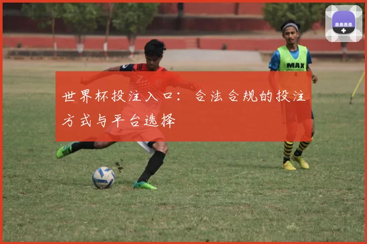 世界杯投注入口:合法合规的投注方式与平台选择