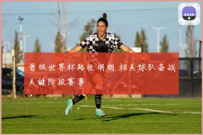 晋级世界杯路径明朗 相关球队备战关键阶段赛事