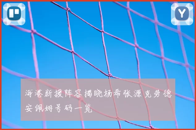 海港新援阵容揭晓杨希张源克劳德安佩姆号码一览