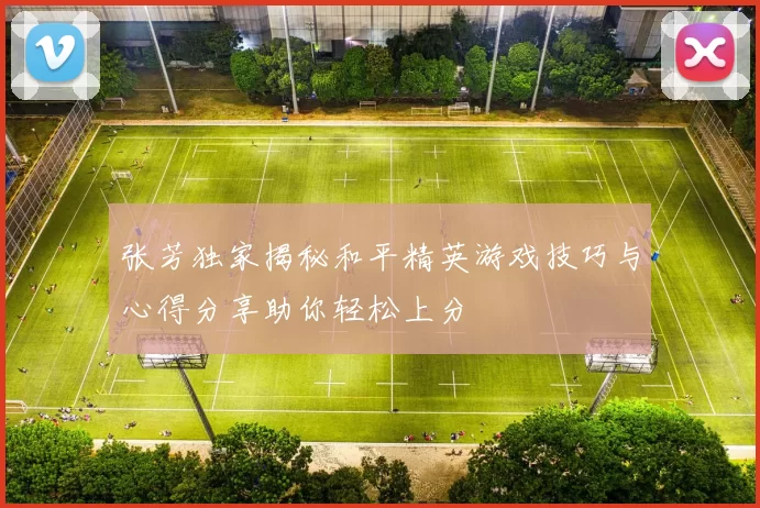 张芳独家揭秘和平精英游戏技巧与心得分享助你轻松上分