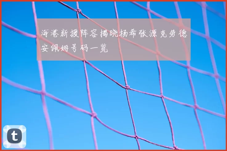 海港新援阵容揭晓杨希张源克劳德安佩姆号码一览