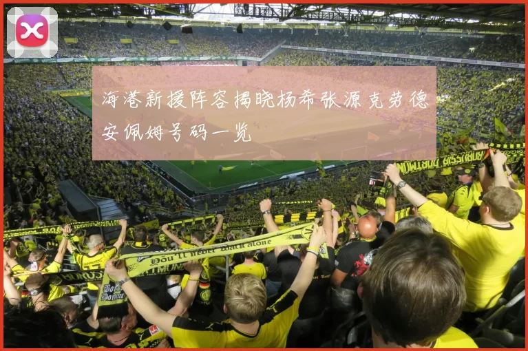 海港新援阵容揭晓杨希张源克劳德安佩姆号码一览